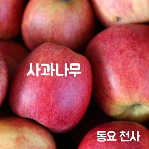 사과나무 (Apple Tree)