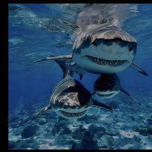 Flint to GR (feat. Baby MIA) (Explicit)