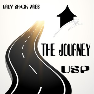 The Journey (DJ Mixed)