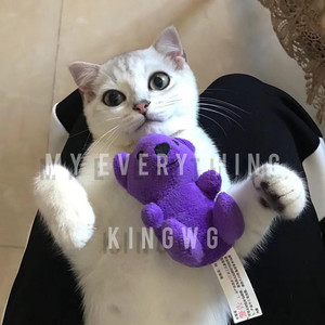 Past lives (KINGWG Remix)