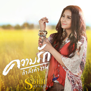 ความรักกำลังทำงาน (Cover) - Single