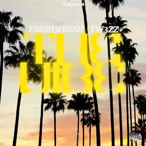 The Vibe (feat. Fresh3Fresh) (Explicit)