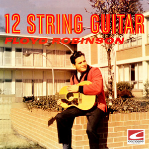 12 String Guitar