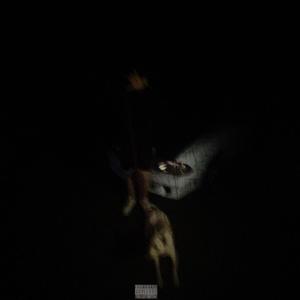 Don't Know The Meaning! (feat. Paniic) (Explicit)