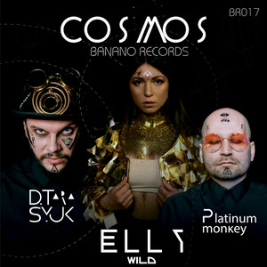 Cosmos (DJ Kapral Remix)