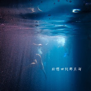 好想回到那片海