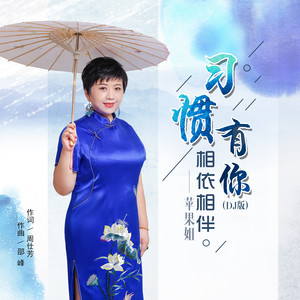 习惯有你相依相伴 (DJ何鹏版)