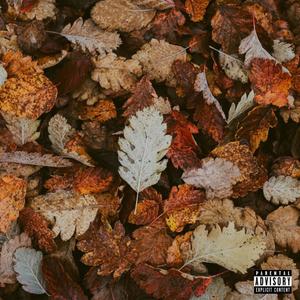 Leaves Change (Explicit)