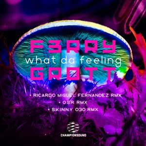 What da Feeling (O.S.R. Remix)