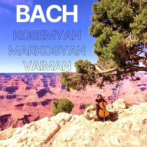 Concerto for 2 Violins in D Minor, BWV 1043 - I. Vivace (Transcription for Violin and Cello by Sergey Kosemyan)