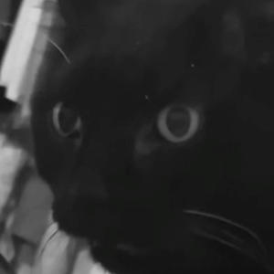 Corpse (feat. glorygasp) (Explicit)