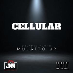 Cellular (Explicit)