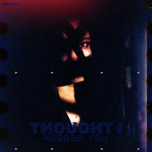 Thought I Needed You