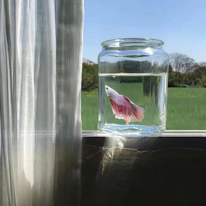 健身不止 - 平庸