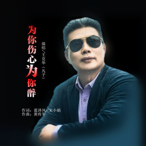 为你伤心为你醉