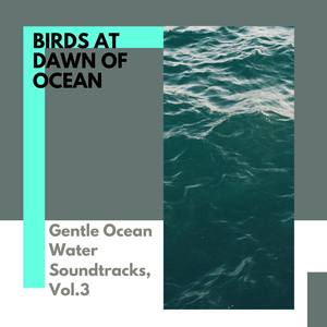 Birds at Dawn of Ocean - Gentle Ocean Water Soundtracks, Vol.3