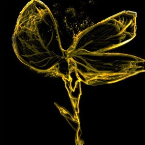 ADHD (Club Chaos Version)