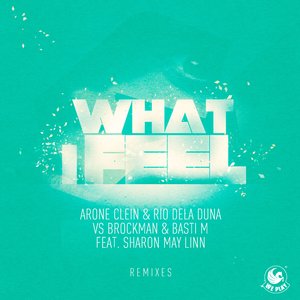 What I Feel (Addict DJs Remix)