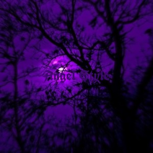 Angel Style (Original Mix)