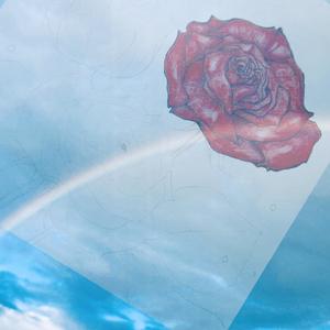 Flower in the sky (feat. Ekaterina Miranda Smirnova) [with Luca Longoni]