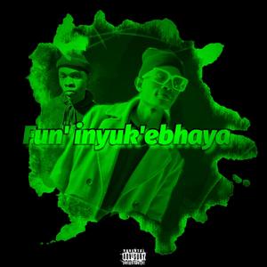 Fun' inyuk'ebhaya (feat. Inno Msara) (Explicit)