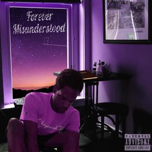 Forever Misundertsood (Explicit)