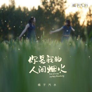 你是我的人间烟火