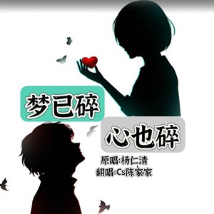 梦已碎心也碎