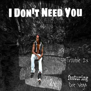 I Don't Need You (Explicit)