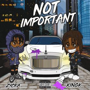 Not Important (feat. Kingk) (Explicit)
