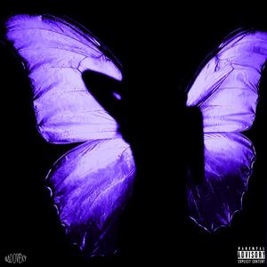 butterfly (Explicit)