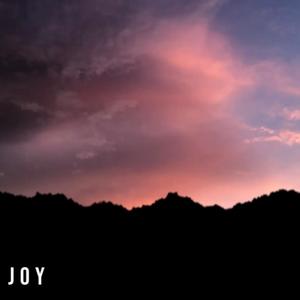 joy