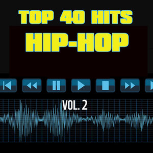 Top 40 Hits Hip Hop, Vol. 2