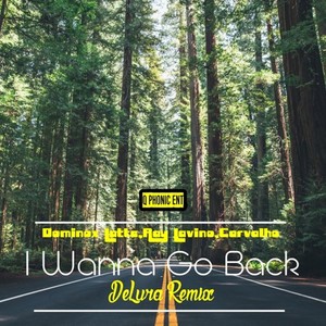 I Wanna Go Back (DeLura Live Vocal Edit)