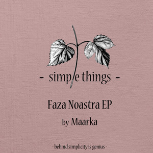 Faza Noastra (Original Mix)
