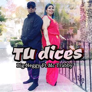 TU DICES