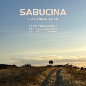 Sabucina
