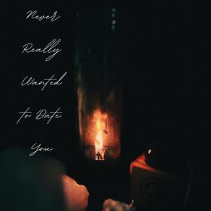 Never Really Wanted to Date You