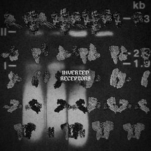 SE LYA VI (feat. Darb)