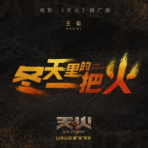 王菊 - 冬天里的一把火