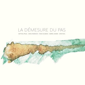 La Démesure du Pas (Musique migratoire - Enregistrement nomade)