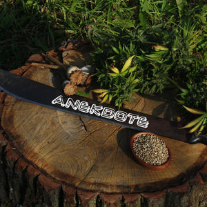 Anekdote (feat. D!a) (Explicit)