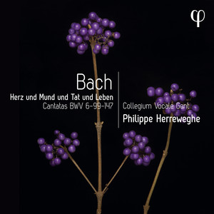 Herz und Mund und Tat und Leben, BWV 147, Pt. 2 - I. Aria. Hilf, Jesu, hilf, daß ich auch dich bekenne
