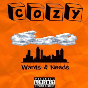 Wants & Needs (Explicit)