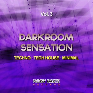 Black Revolution (Leechy Alexej Remix)