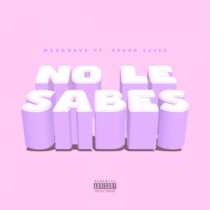 No le sabes (feat. Young Loser) [Explicit]