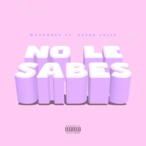 No le sabes (feat. Young Loser) (Explicit)