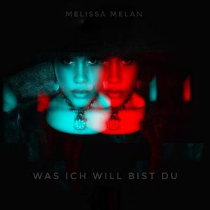 Was ich will bist du (Explicit)