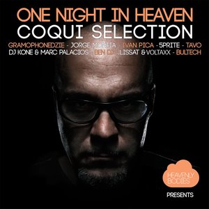 One Night in Heaven, Vol. 14 - Mixed & Compiled by Coqui Selection