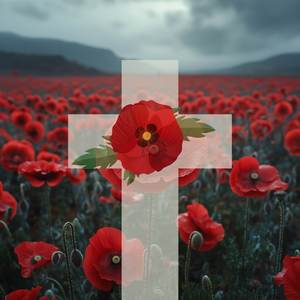 Cross of The Brave Flanders Field